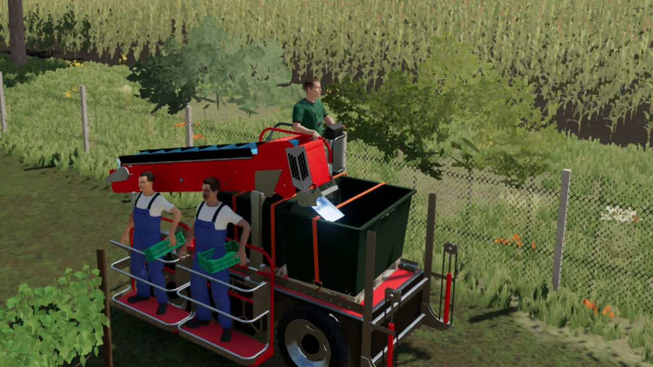 Grape harvesting brigade