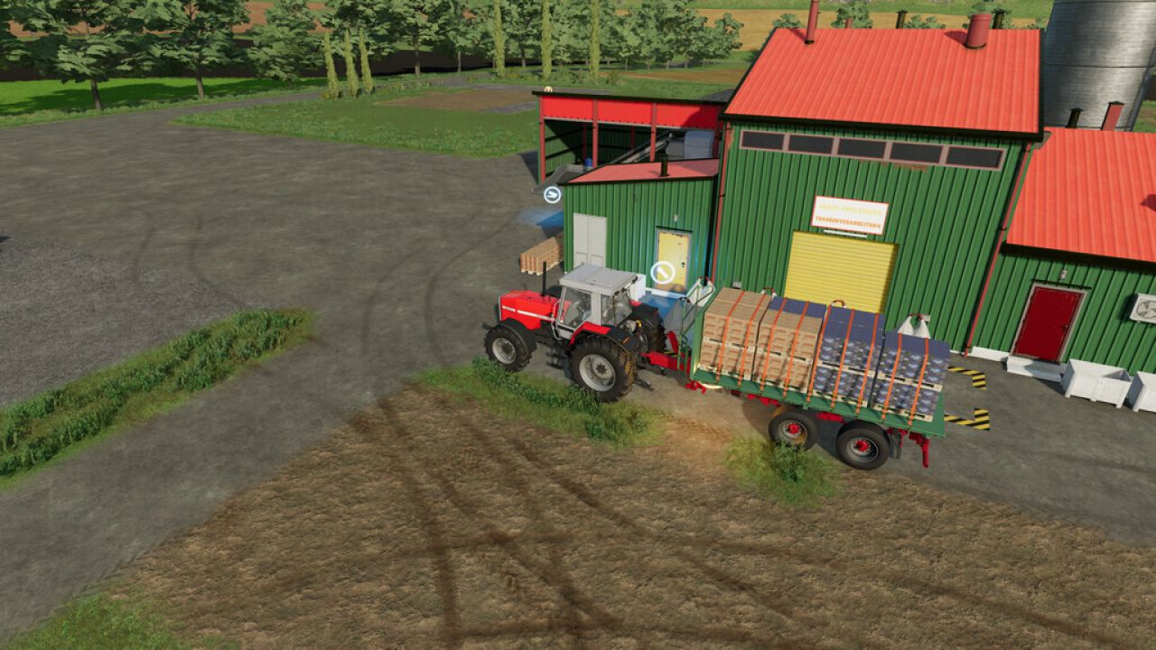 Grape Processing