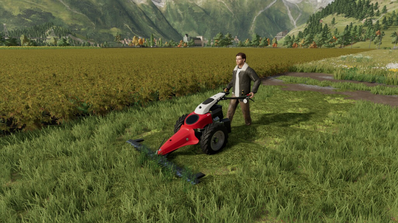 Grass Mowing