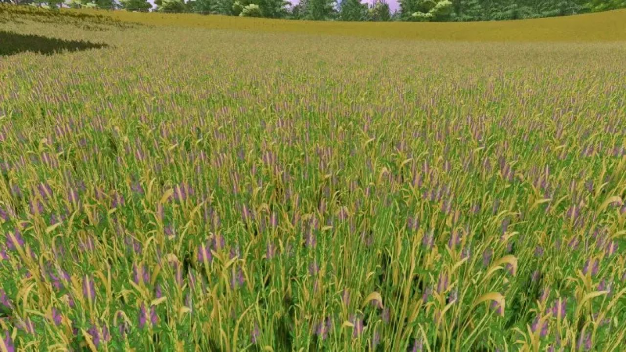 Текстура травы с люцерной