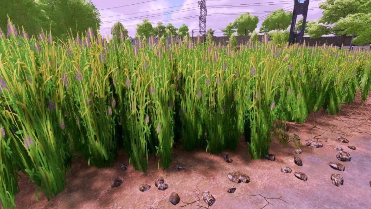 Grasstruktur mit Luzerne