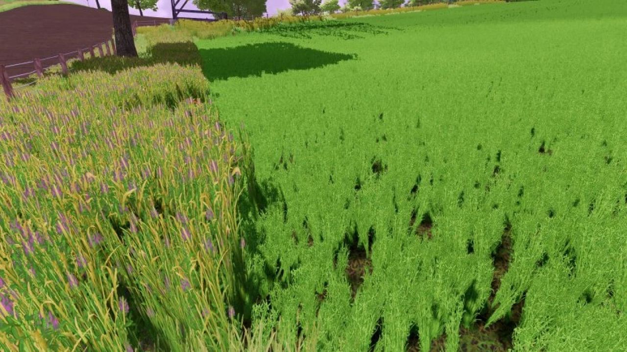 Grass texture with alfalfa