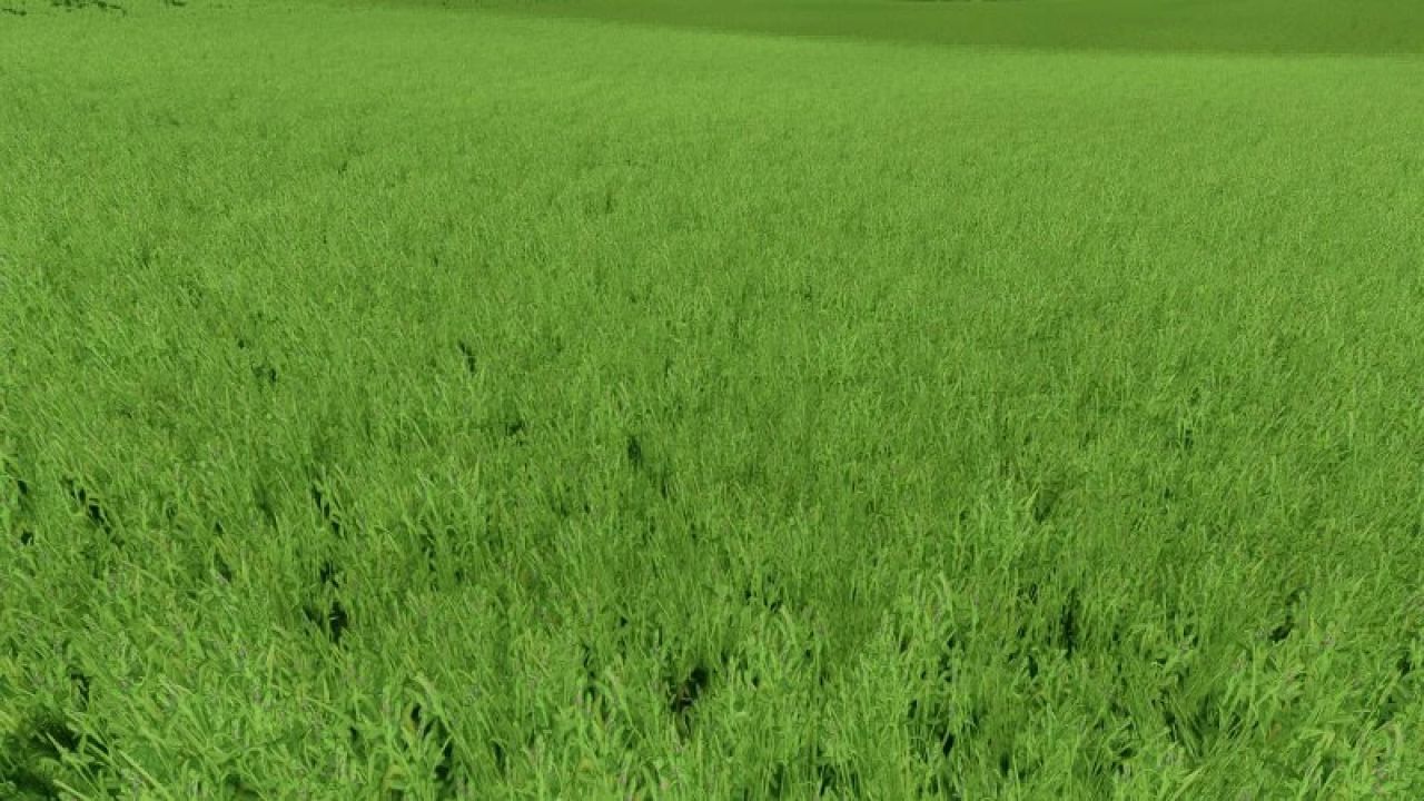 Textura de hierba con alfalfa