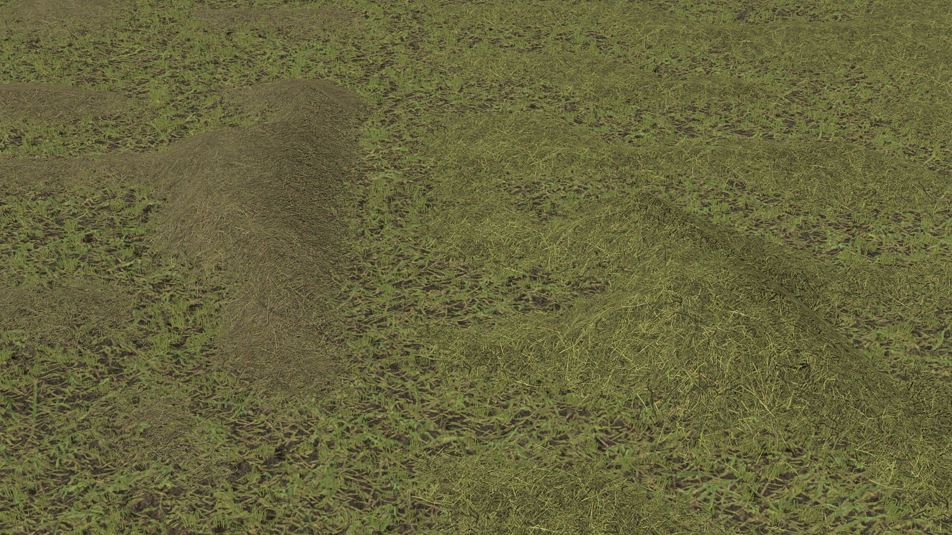 Grass/Hay Texture