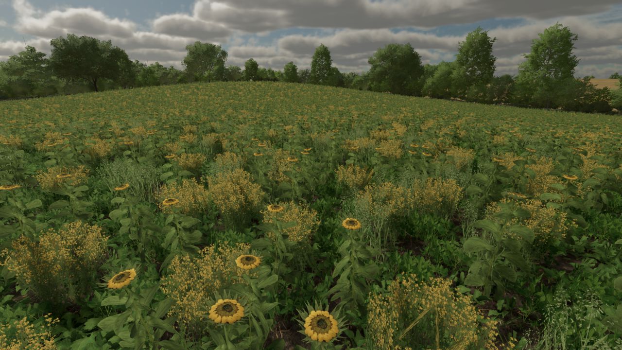 Green manure foliage