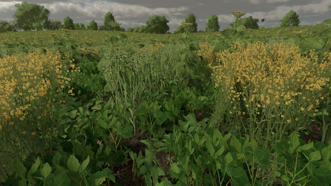 Green manure foliage