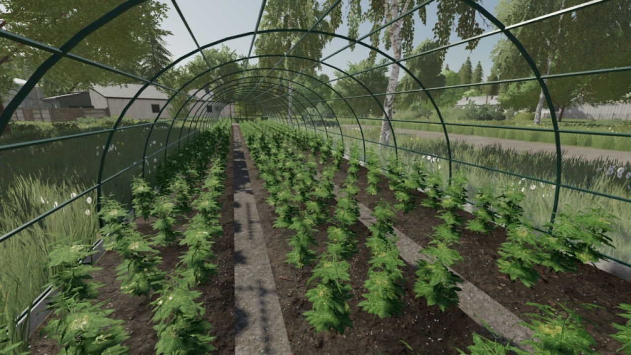 Greenhouse