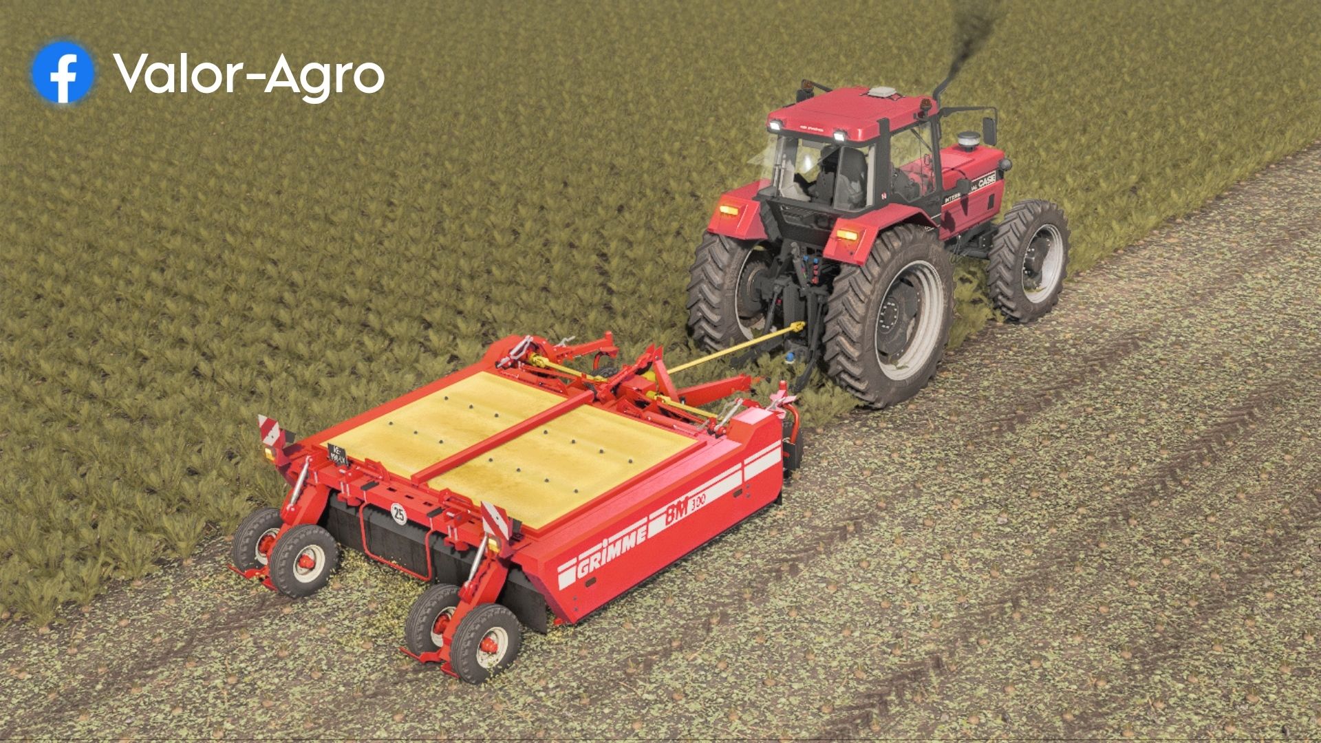 Grimme BM 300
