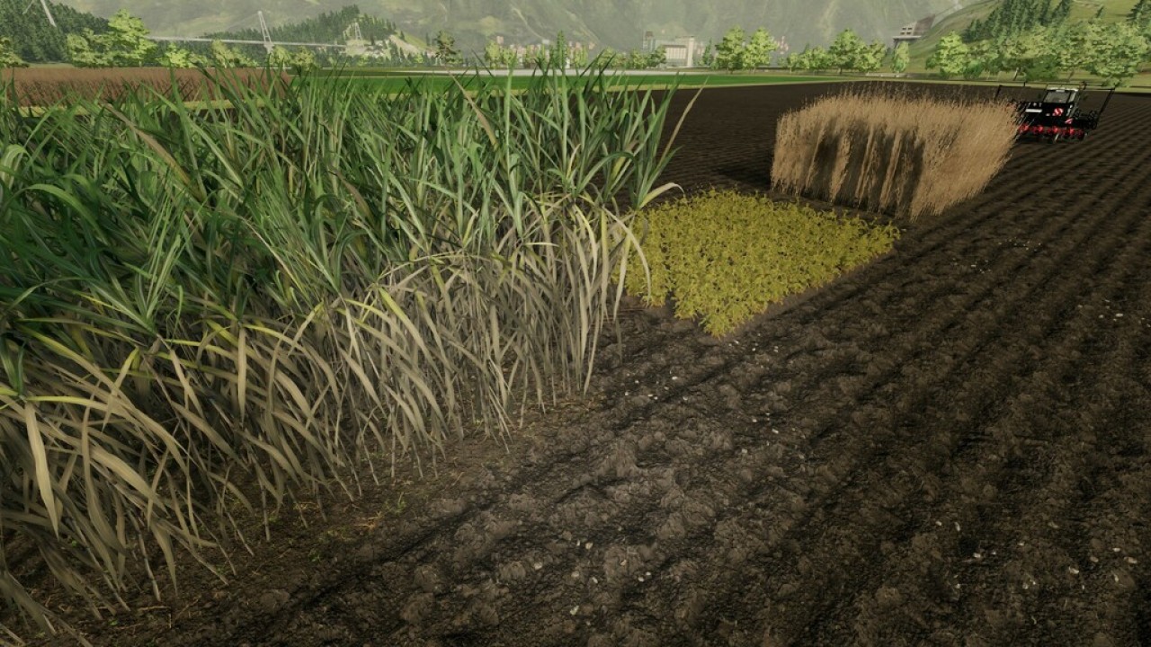 Plant 5 d. Farming Simulator 19 сахарный тростник. Ферма симулятор 2022. Сеялка тростника FS 19. Фарминг 22.