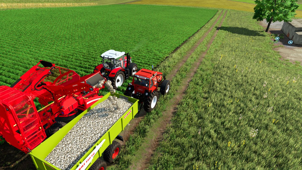 Grimme Rootster 604 Edit