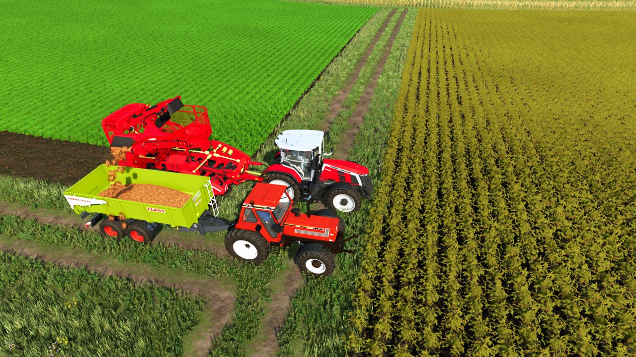 Grimme Rootster 604 Edit