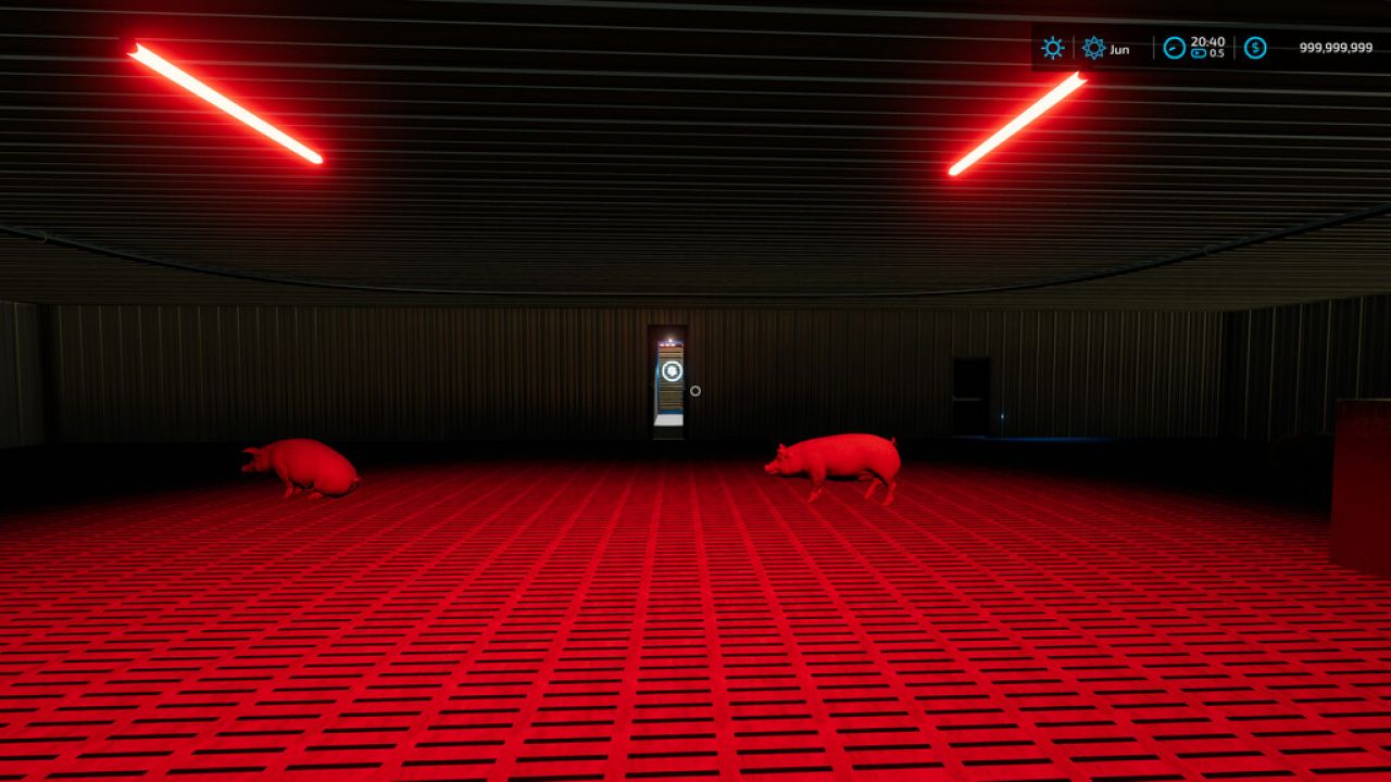 Uwięzienie świni