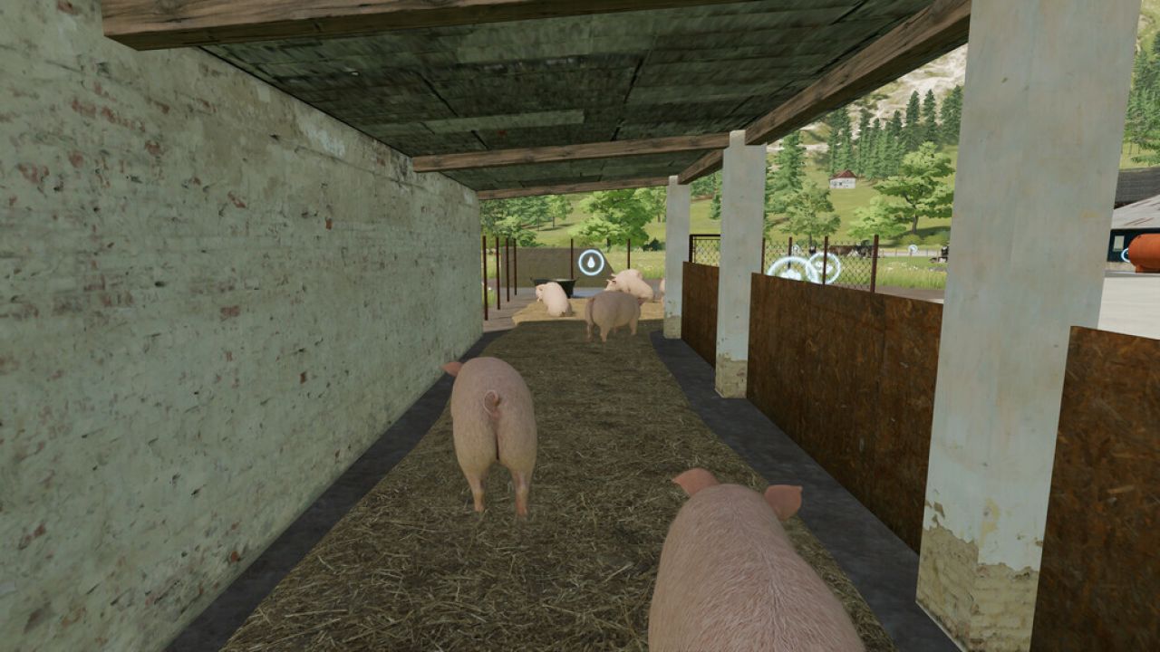 Усадьба свиней