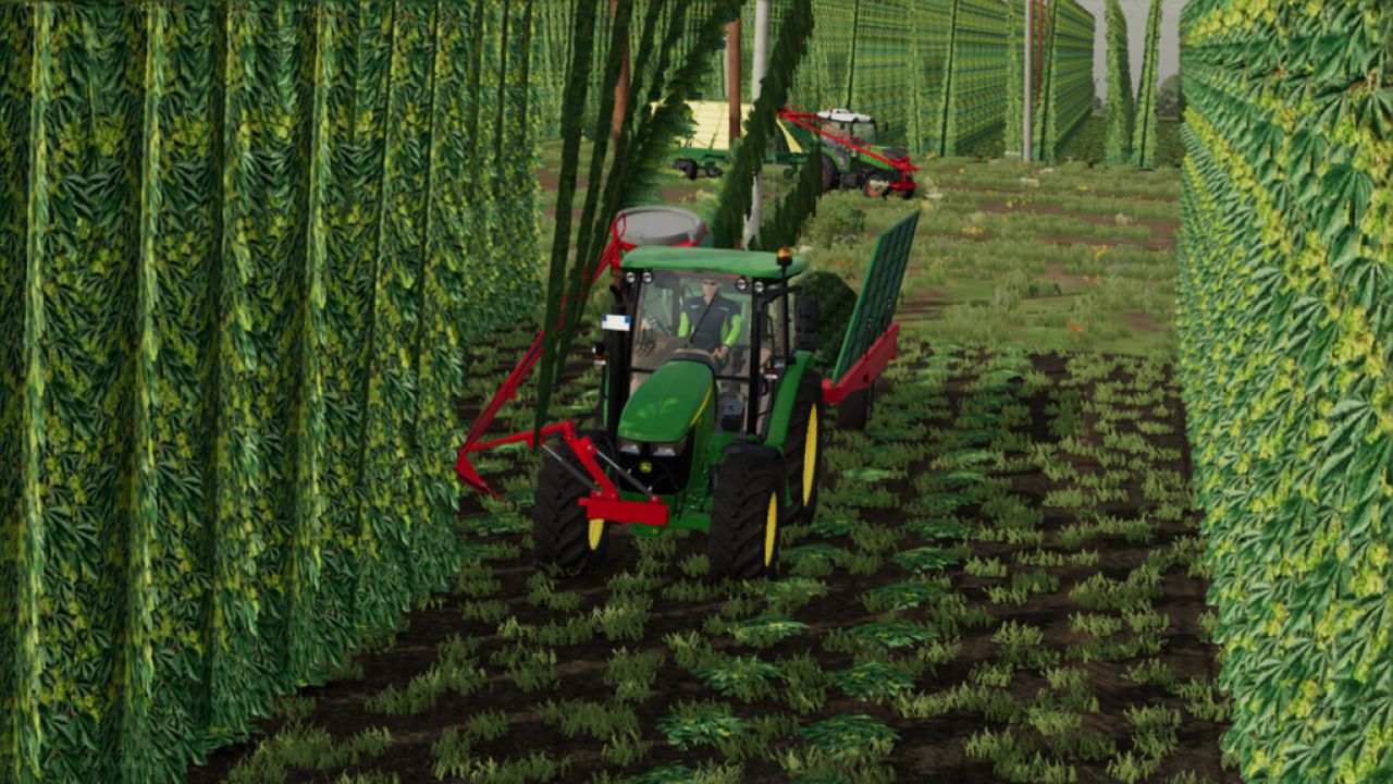 Technologie Du Houblon