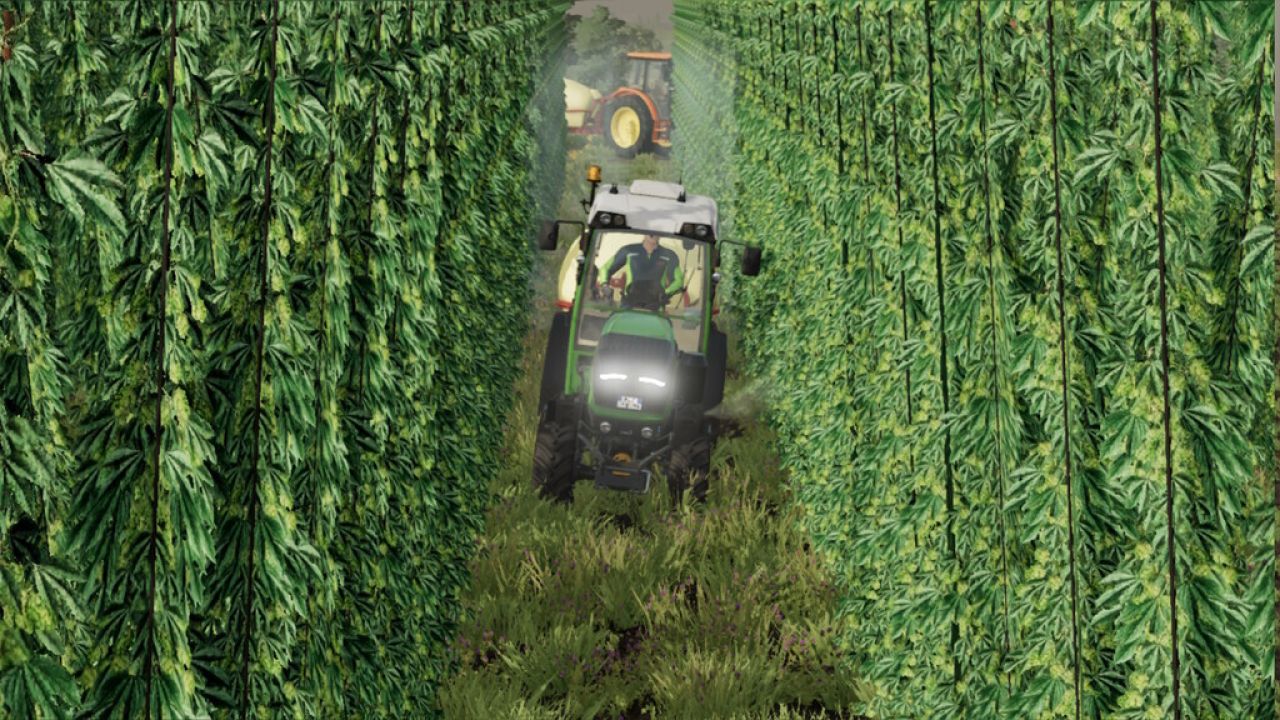 Technologie Du Houblon