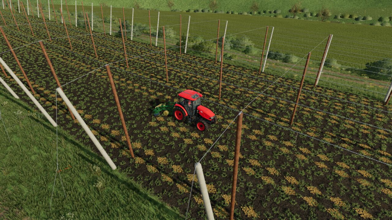 Technologie Du Houblon