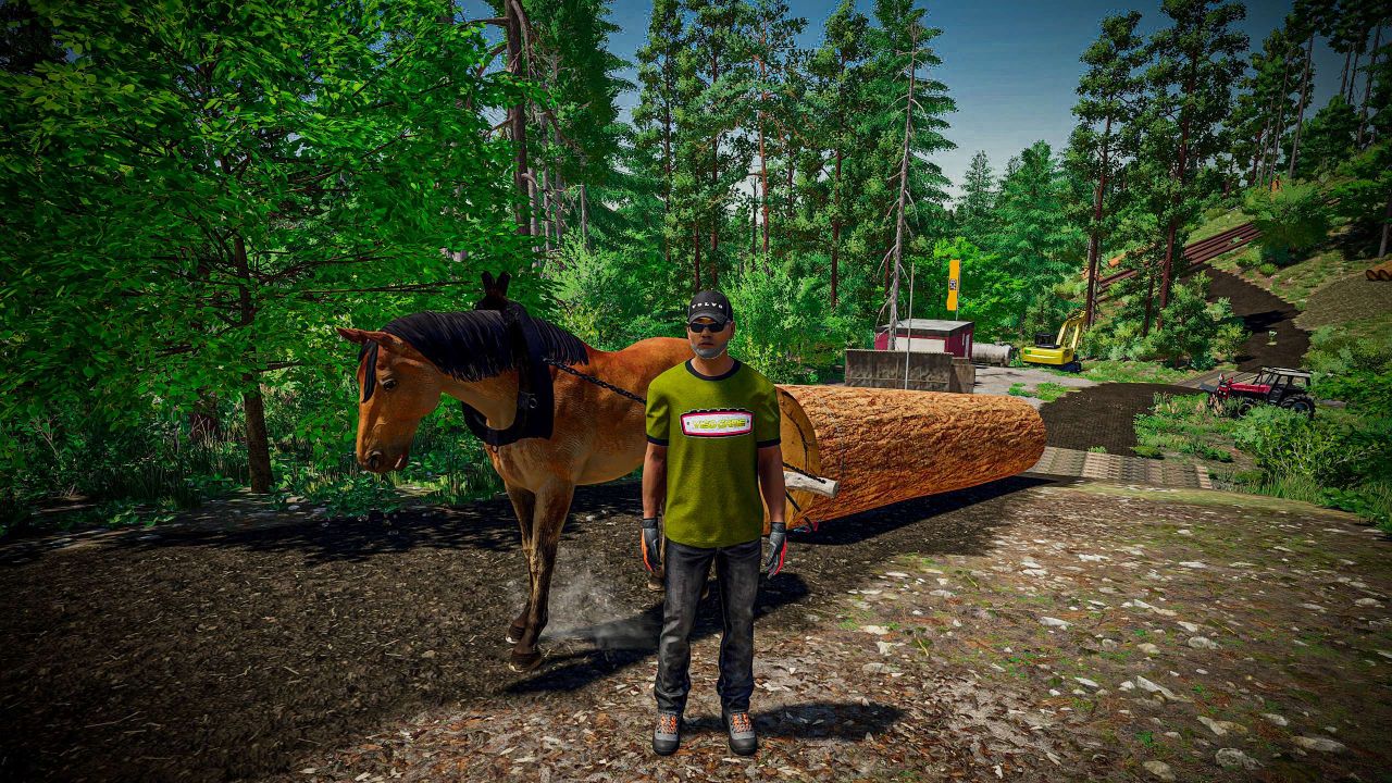 Лошадь для лесного хозяйства