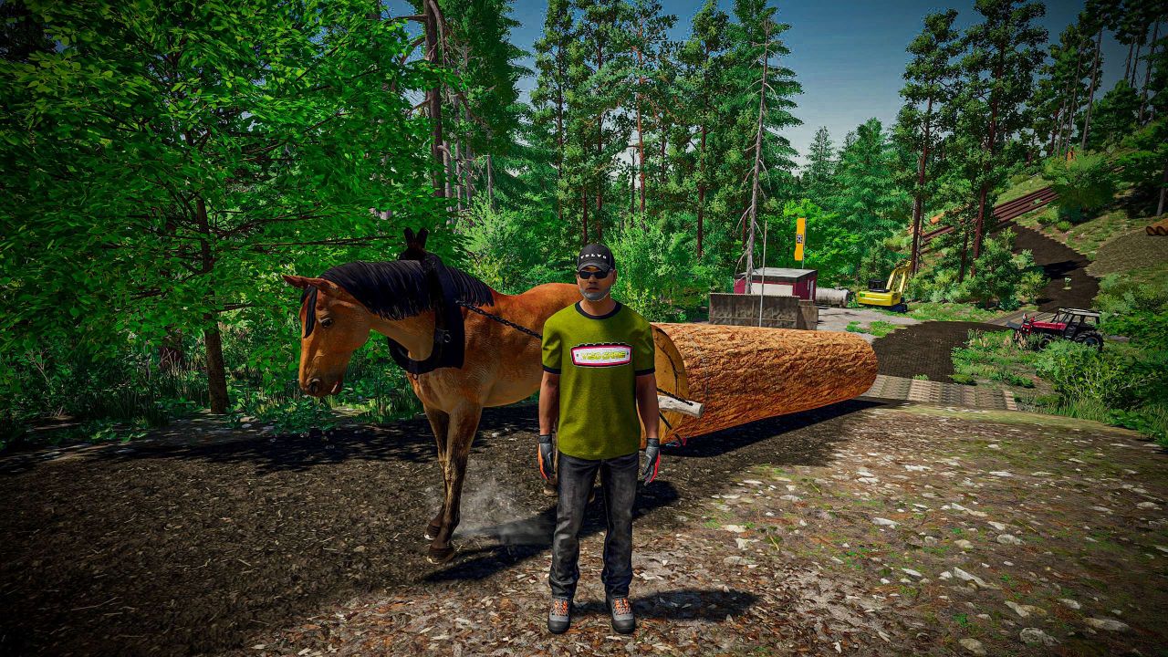 Horse for forestry