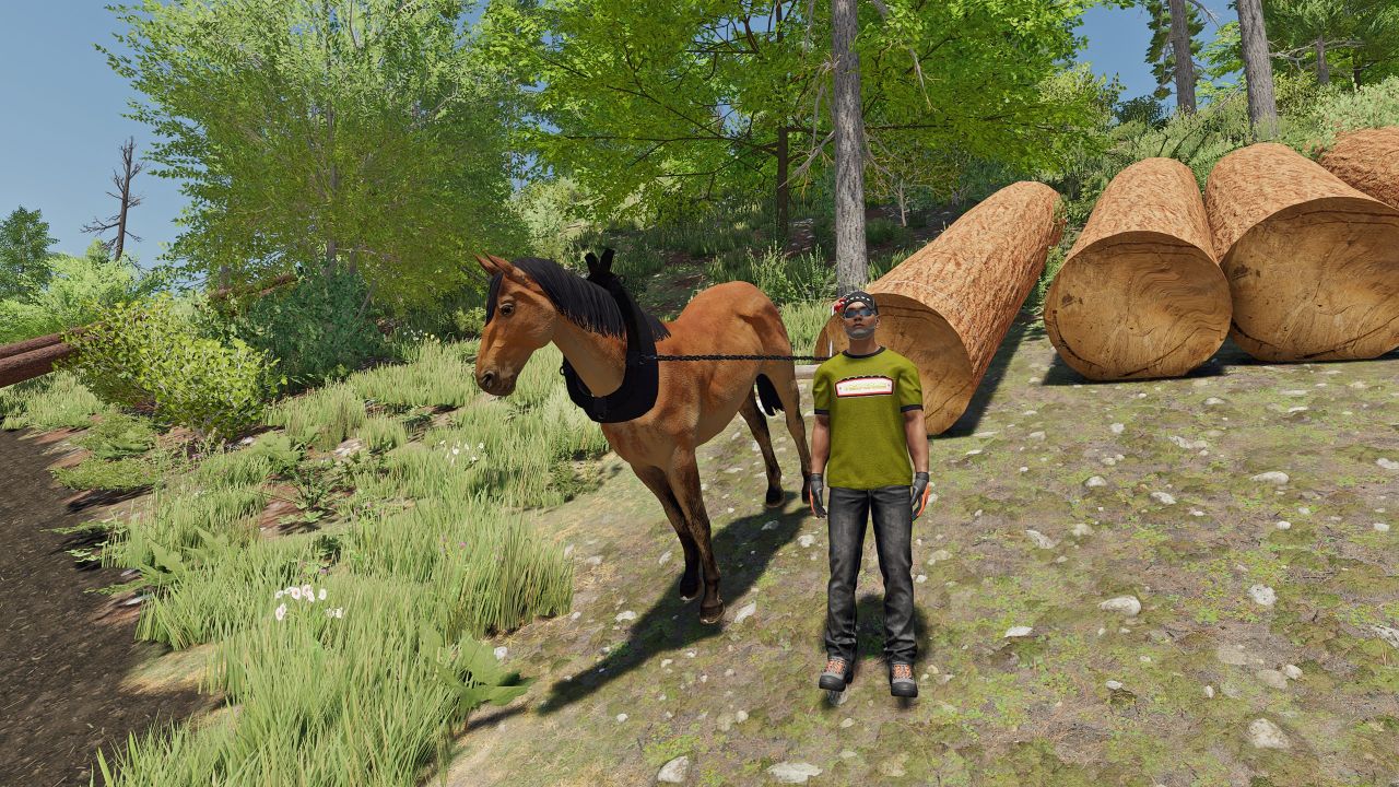 Pferd für die Forstwirtschaft