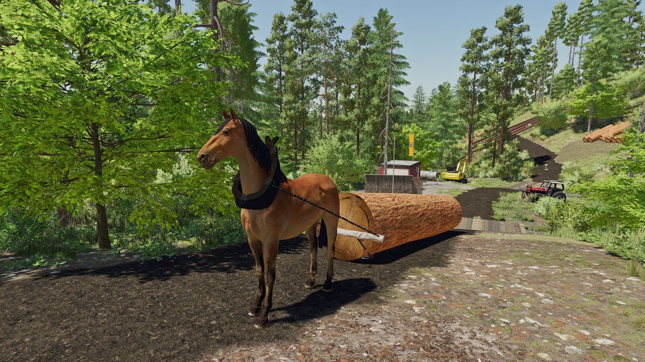 Horse for forestry
