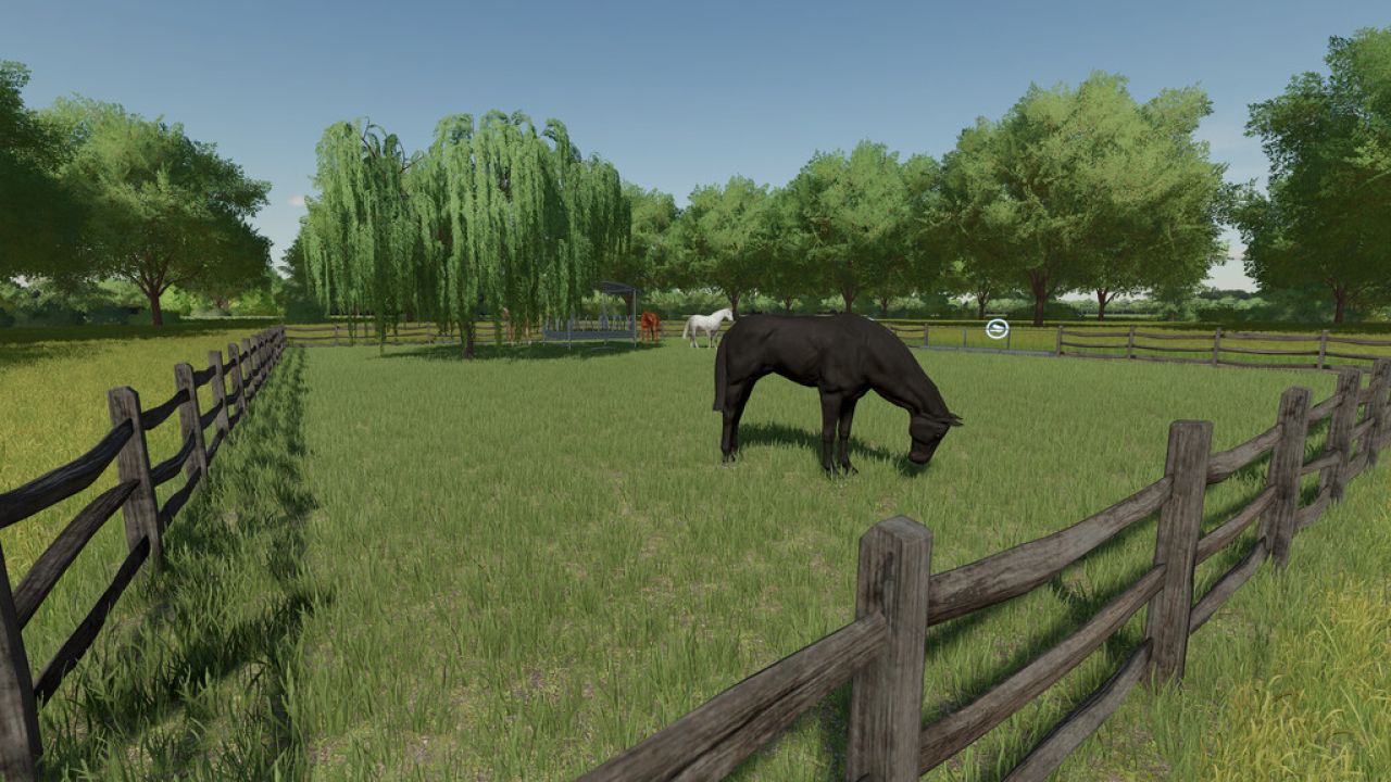 Horse Pasture