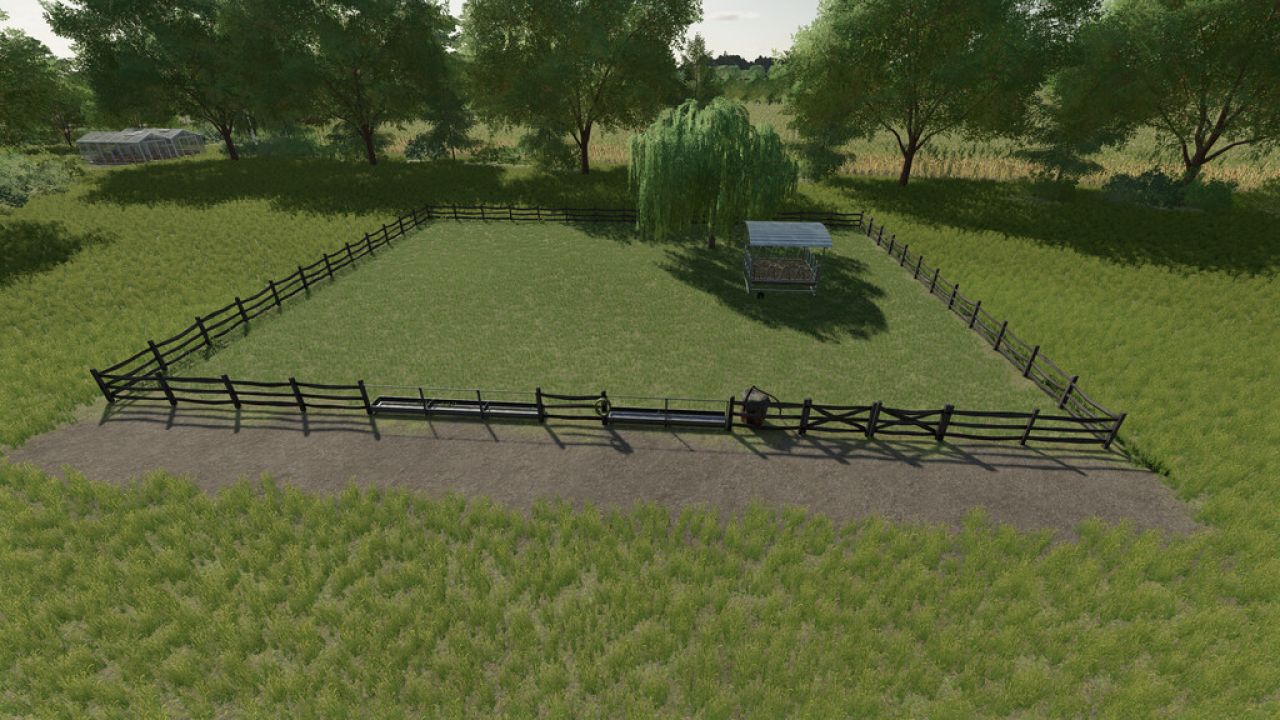 Horse Pasture