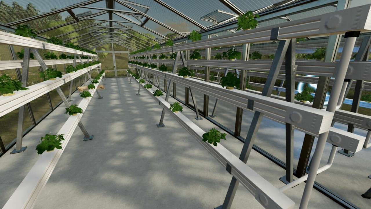 Hydroponics Greenhouse