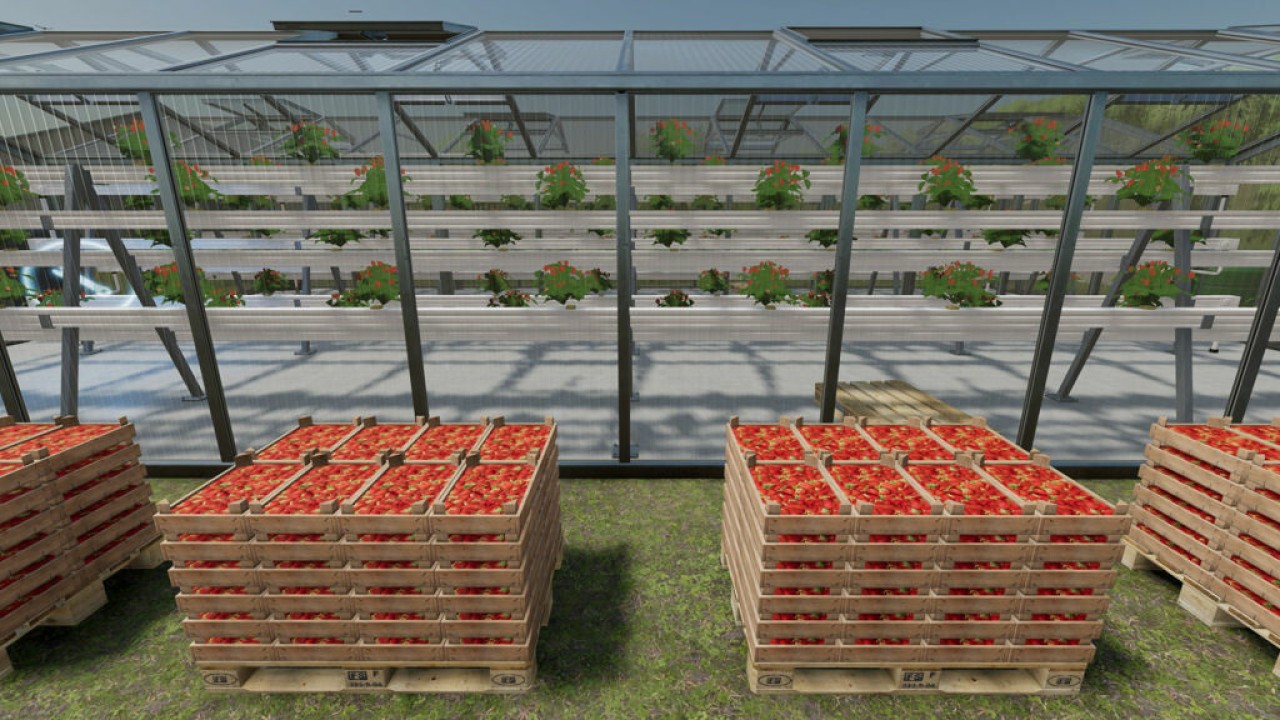 Hydroponics Greenhouse