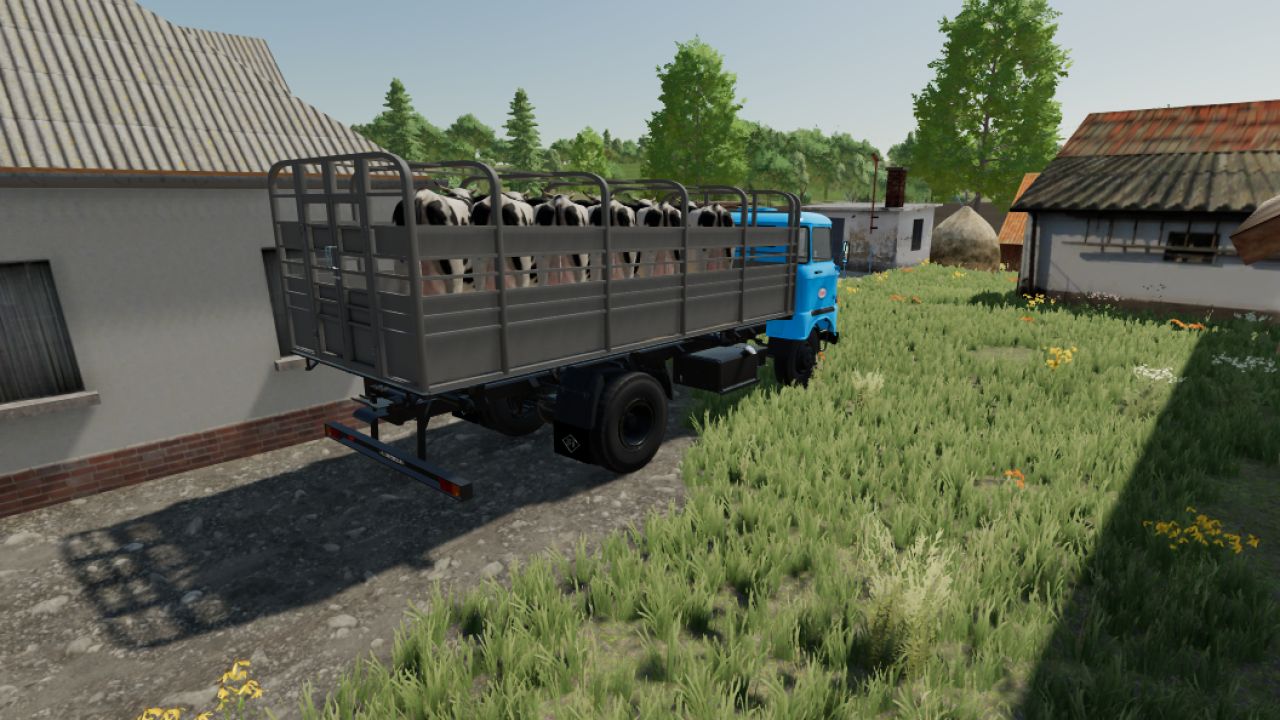 Transporte de Animais IFA W50