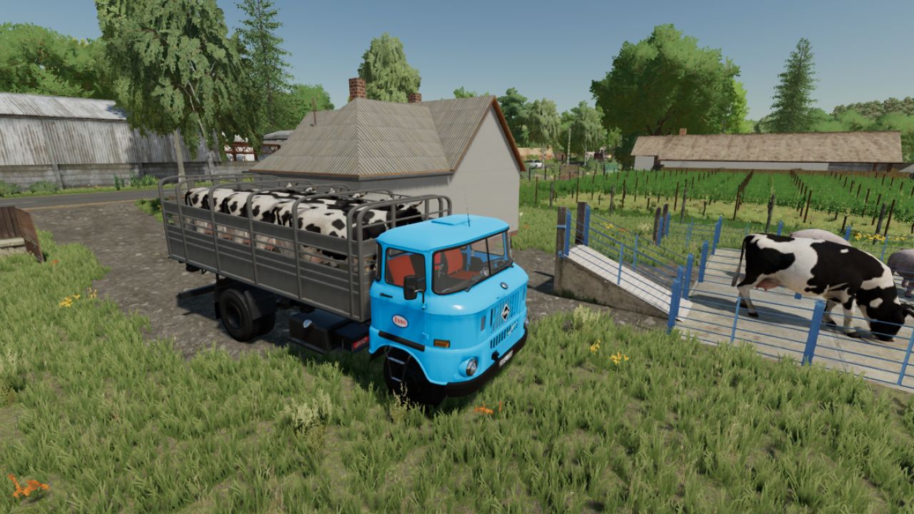 Transporte de Animais IFA W50