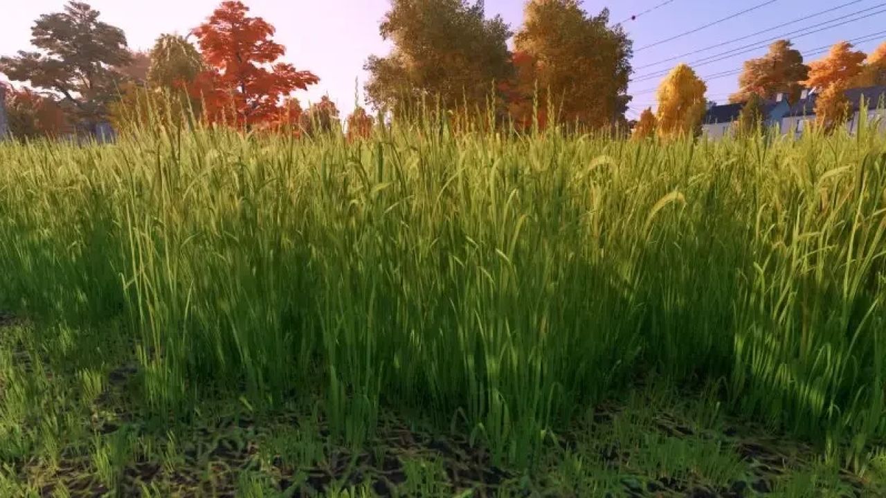 Улучшена текстура травы.