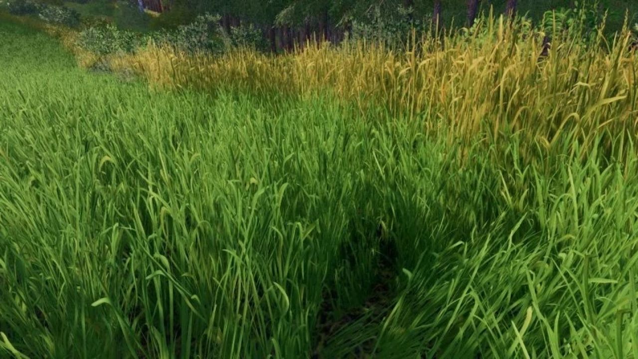 Improved grass texture