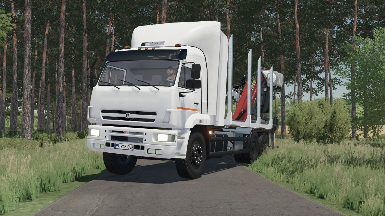 Camion per legname Kamaz 6520