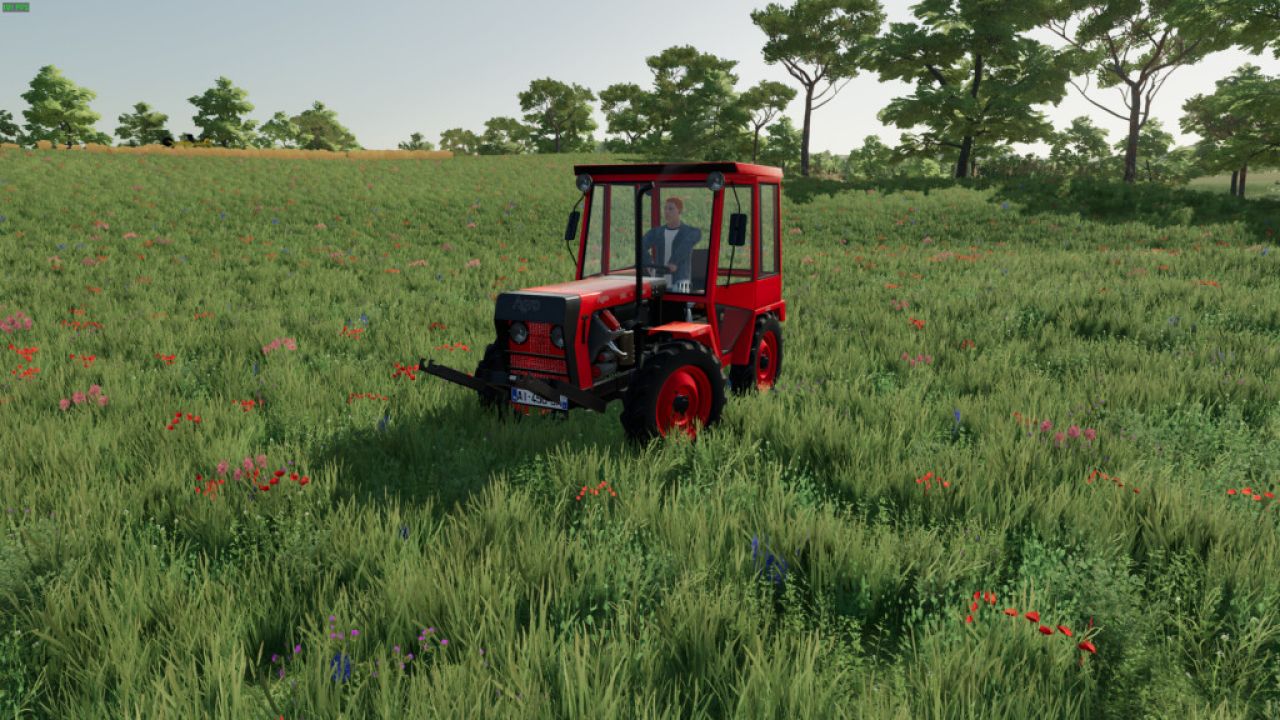 Petit Tracteurs FS22 - KingMods
