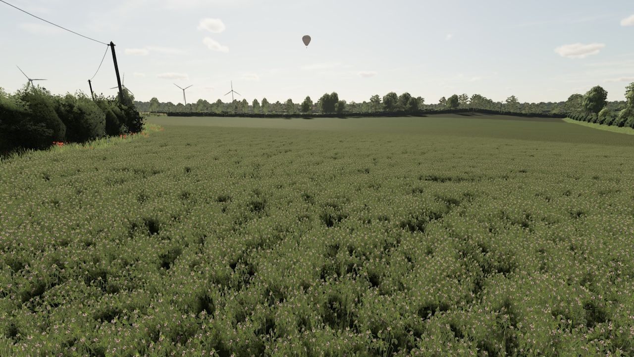 La Petite Bourgogne