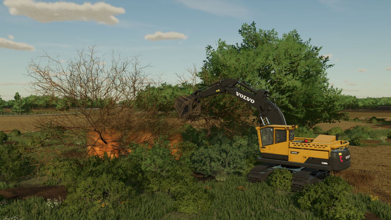 Land Clearing