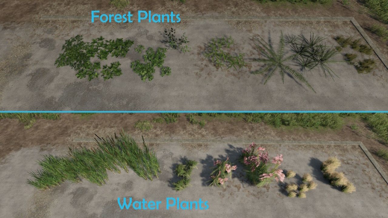 Landschaftsbaum Erweiterung Für Zielonka