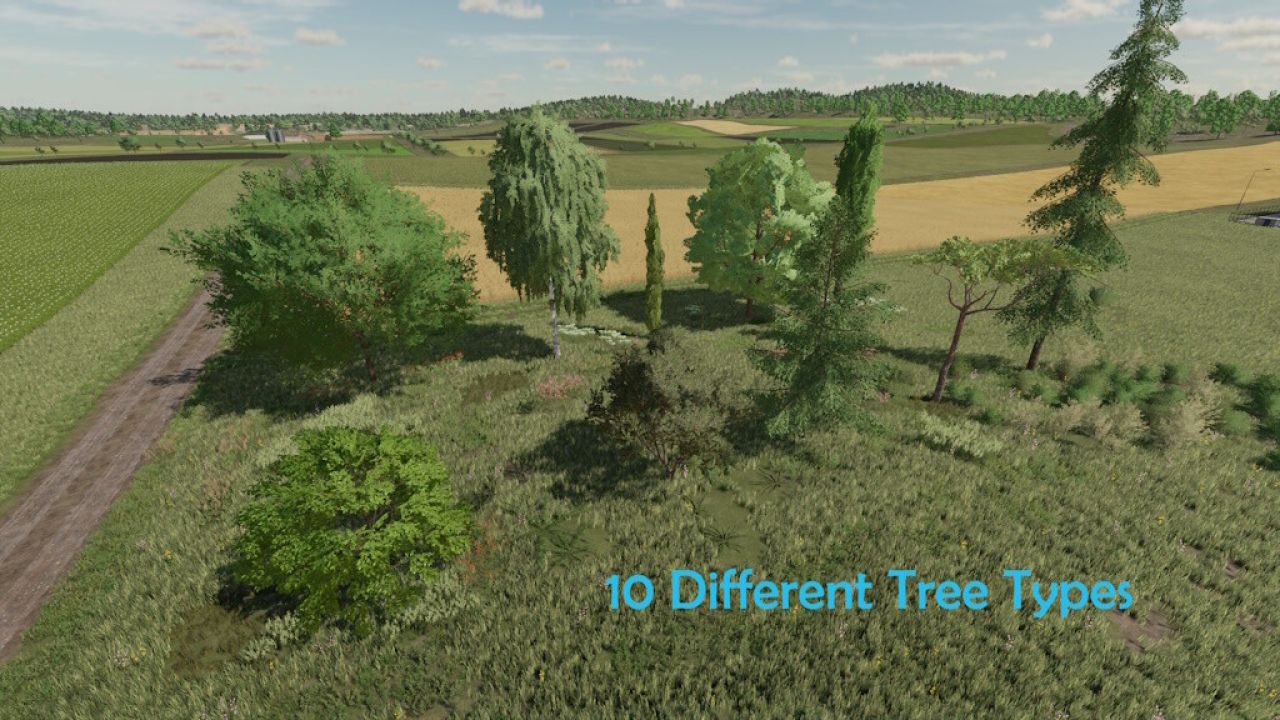 Landschaftsbaum Erweiterung Für Zielonka
