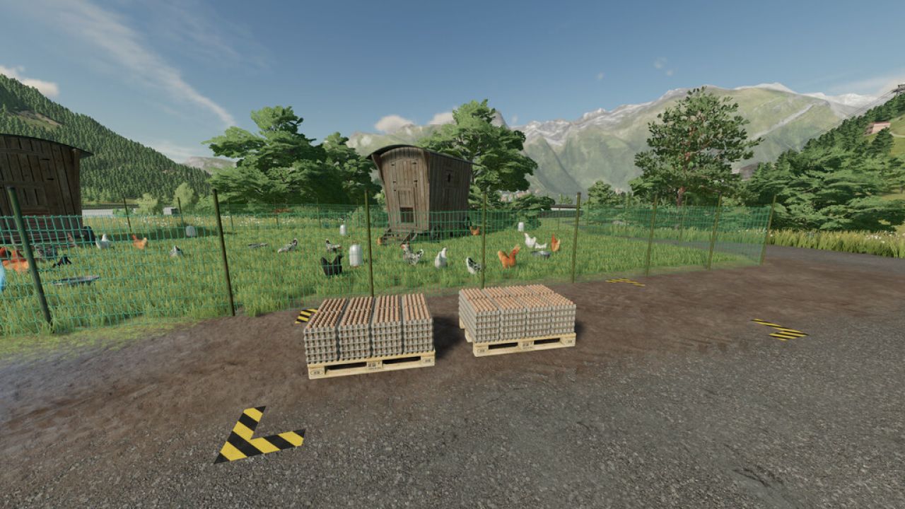 Large Outdoor Chicken Coop