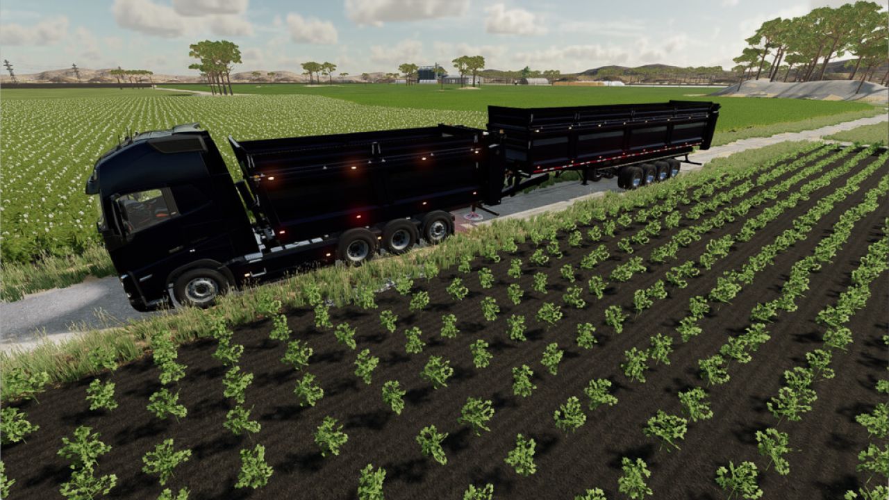Lizard Bulk And Manure System