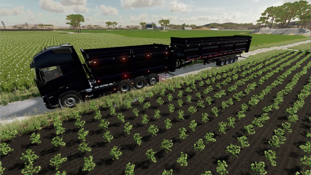 Lizard Bulk And Manure System