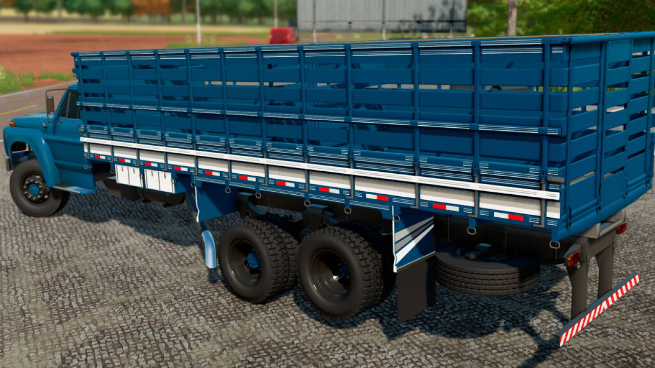 Lizard F Series 1981