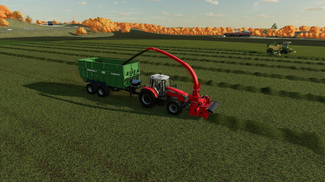 Lizard Forage Pickup
