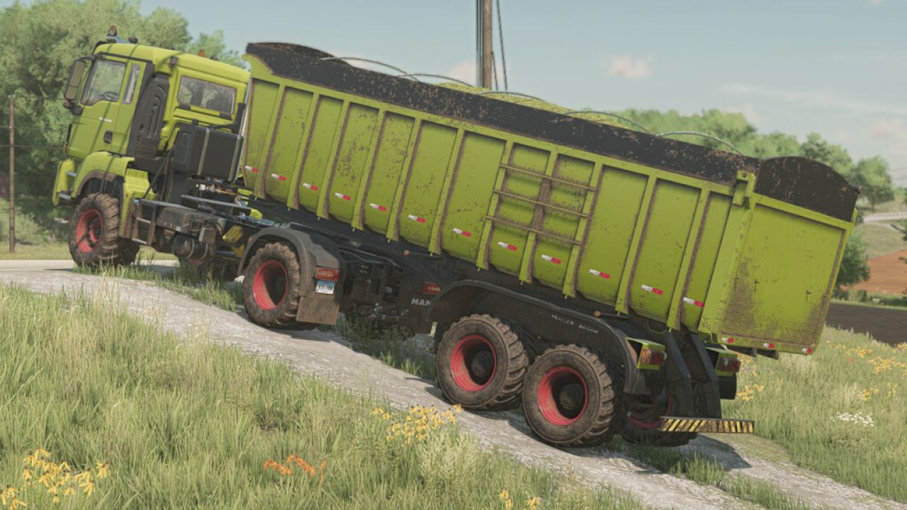 Lizard GL