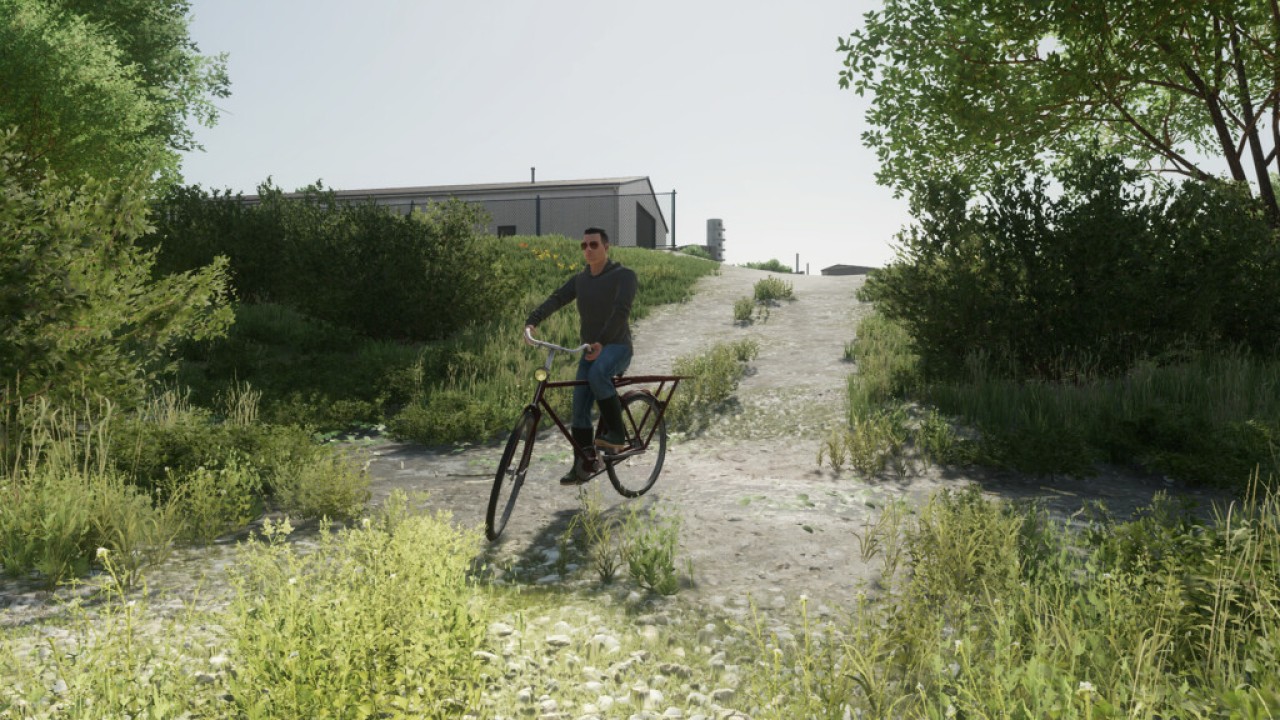 Lizard Altes Fahrrad