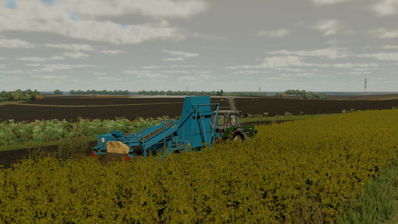 Lizard Z-643 Bolko