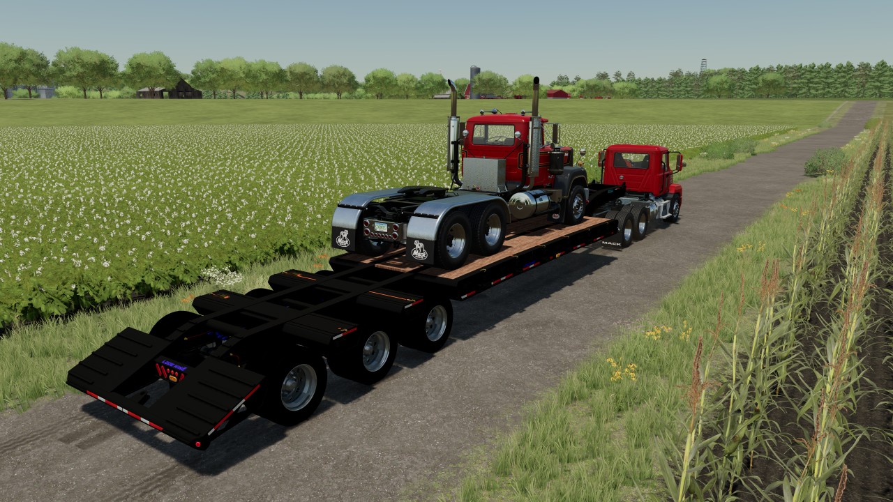 Lodeking 50 ton trailer