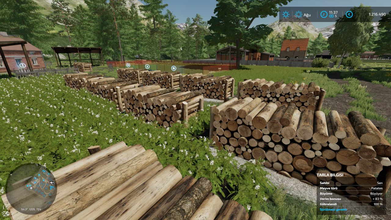 Log-Dekoration