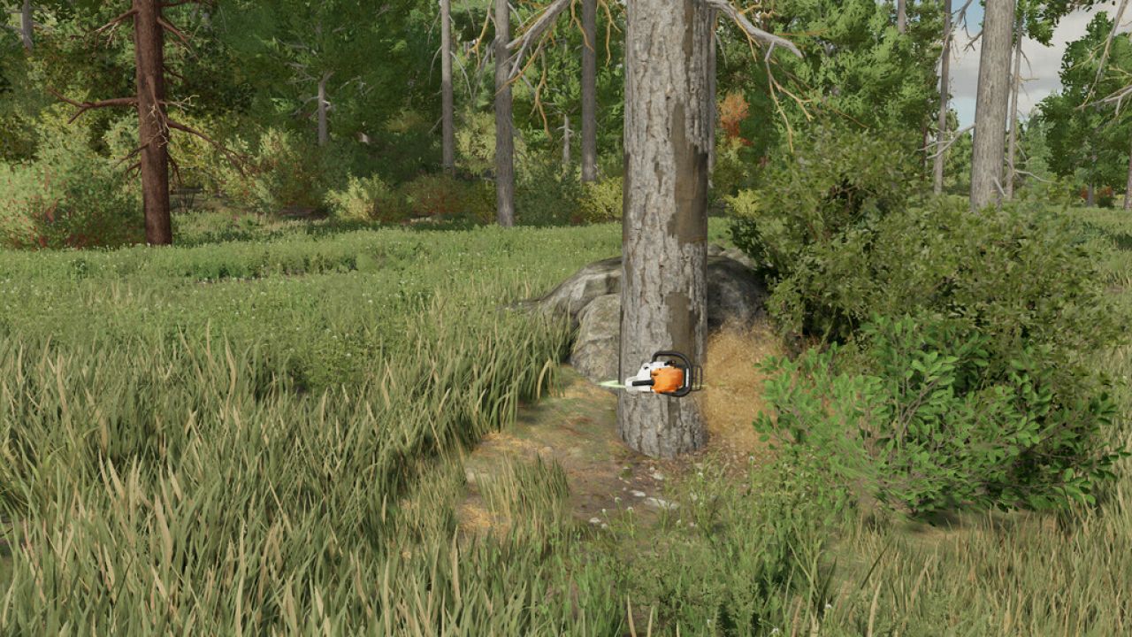 LumberJack