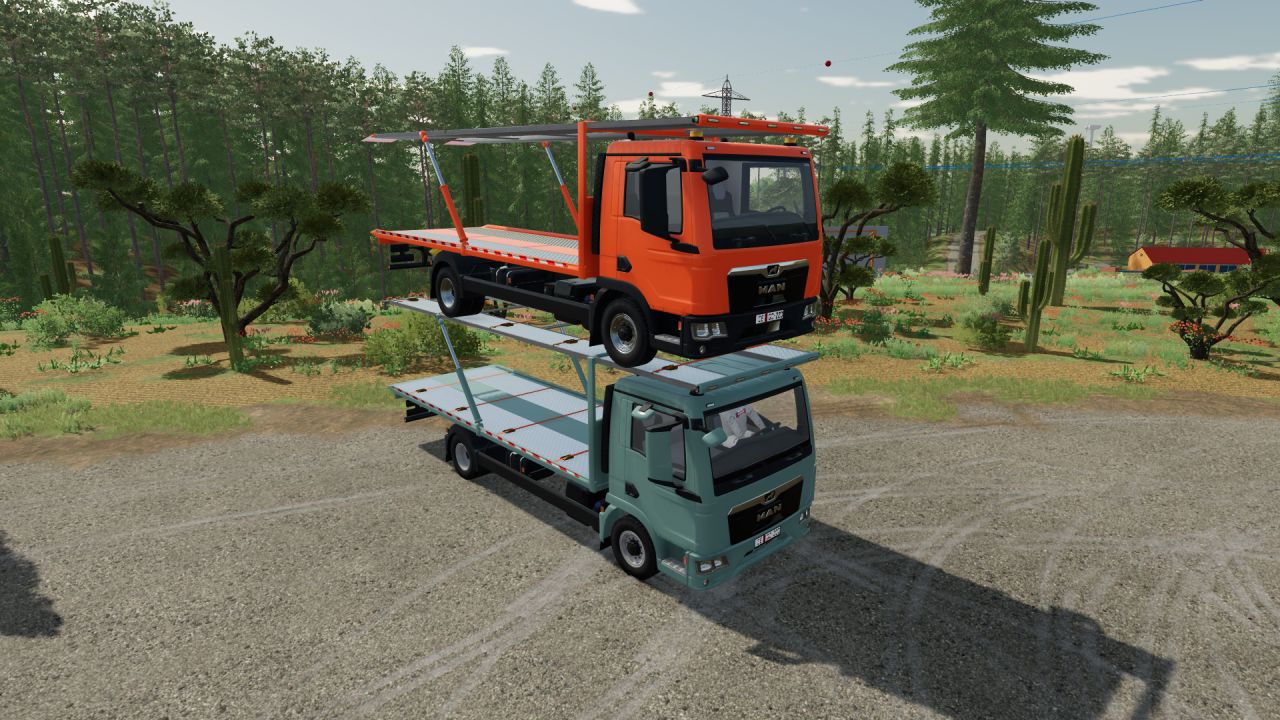 MAN TGL 12.220 Autotransporter